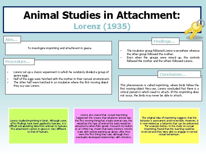 Animal Studies in Attachment: Lorenz (1935) Aim… Findings… To investigate imprinting and attachment in