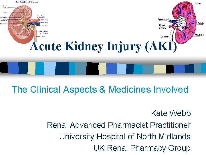 Acute Kidney Injury (AKI) The Clinical Aspects & Medicines Involved Kate Webb Renal Advanced