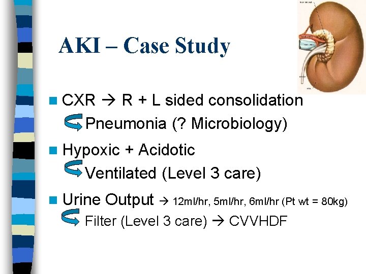AKI – Case Study n CXR R + L sided consolidation Pneumonia (? Microbiology)