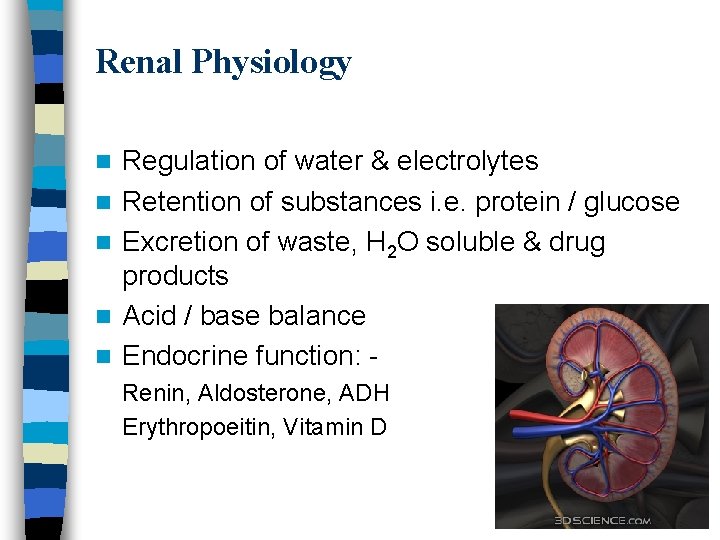 Renal Physiology n n n Regulation of water & electrolytes Retention of substances i.