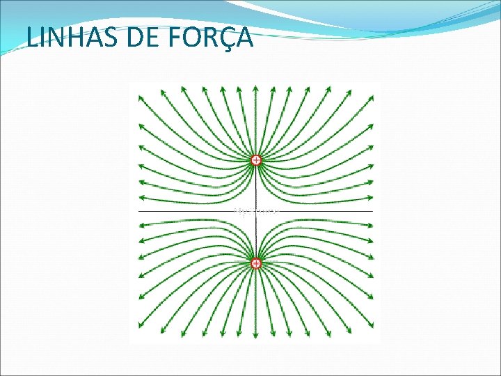 LINHAS DE FORÇA 