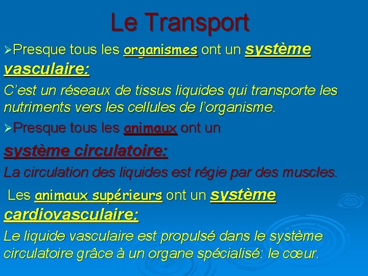 Le Transport ØPresque tous les organismes ont un système vasculaire: C’est un réseaux de