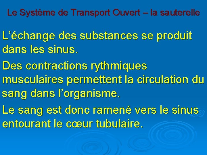 Le Système de Transport Ouvert – la sauterelle L’échange des substances se produit dans