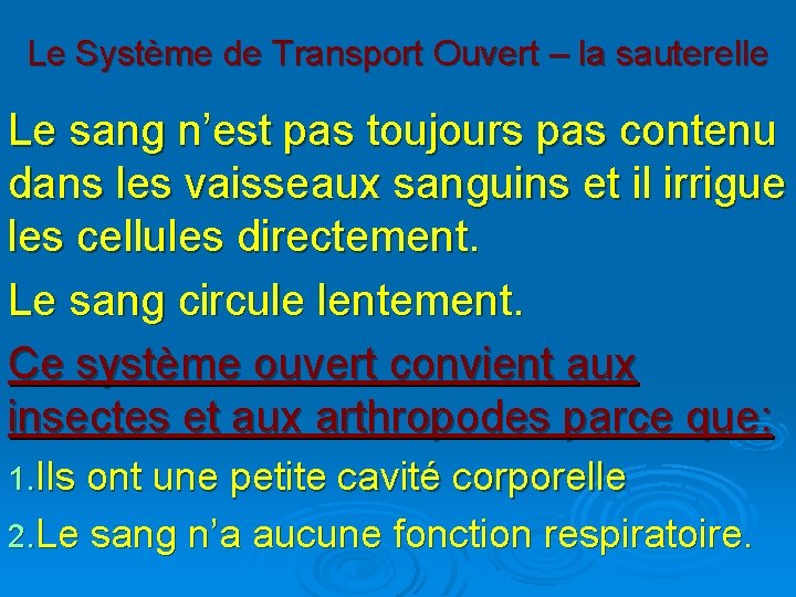 Le Système de Transport Ouvert – la sauterelle Le sang n’est pas toujours pas