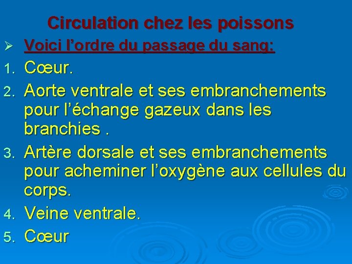 Circulation chez les poissons Ø Voici l’ordre du passage du sang: 1. Cœur. Aorte