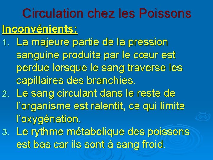 Circulation chez les Poissons Inconvénients: 1. La majeure partie de la pression sanguine produite