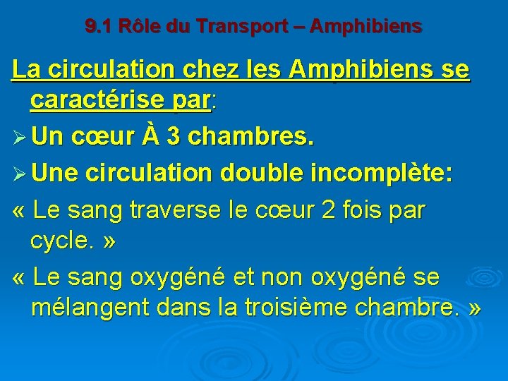 9. 1 Rôle du Transport – Amphibiens La circulation chez les Amphibiens se caractérise