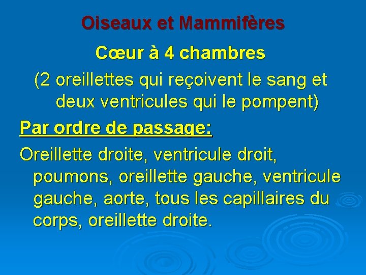 Oiseaux et Mammifères Cœur à 4 chambres (2 oreillettes qui reçoivent le sang et