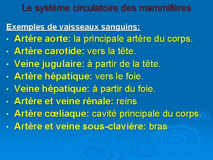  Le système circulatoire des mammifères Exemples de vaisseaux sanguins: • • Artère aorte: