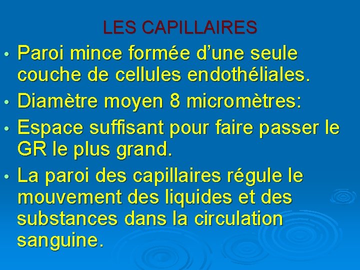 LES CAPILLAIRES • • Paroi mince formée d’une seule couche de cellules endothéliales. Diamètre