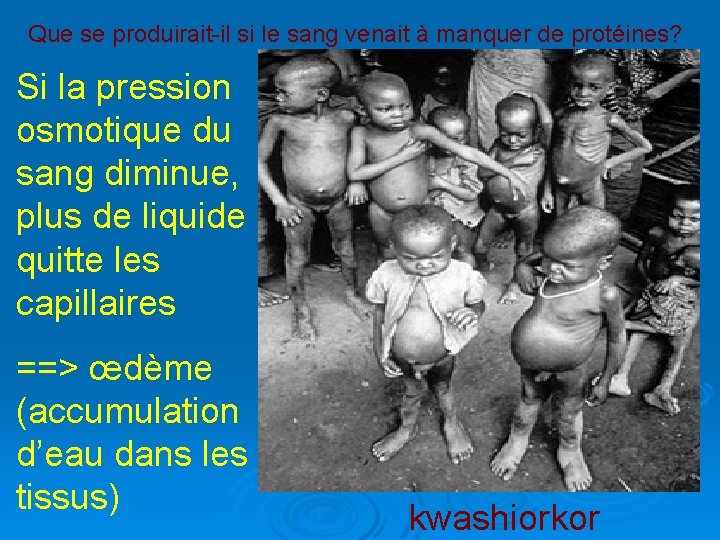 Que se produirait-il si le sang venait à manquer de protéines? Si la pression