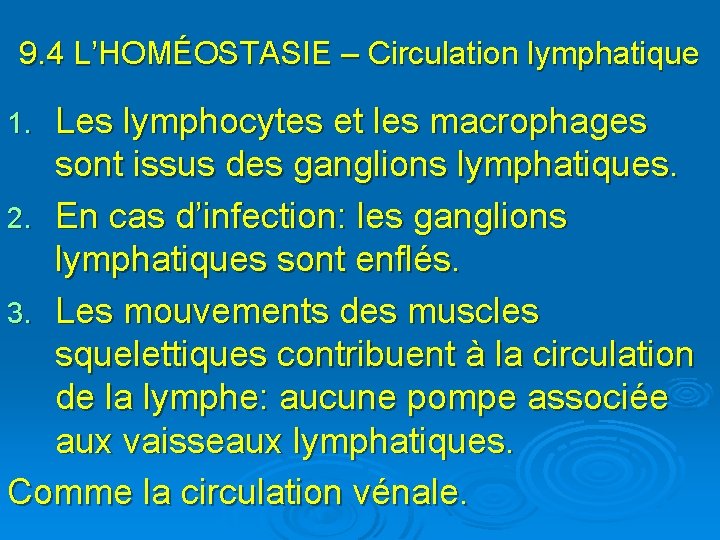 9. 4 L’HOMÉOSTASIE – Circulation lymphatique Les lymphocytes et les macrophages sont issus des