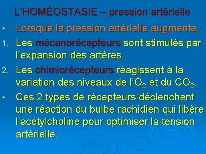 L’HOMÉOSTASIE – pression artérielle Lorsque la pression artérielle augmente, 1. Les mécanorécepteurs sont stimulés