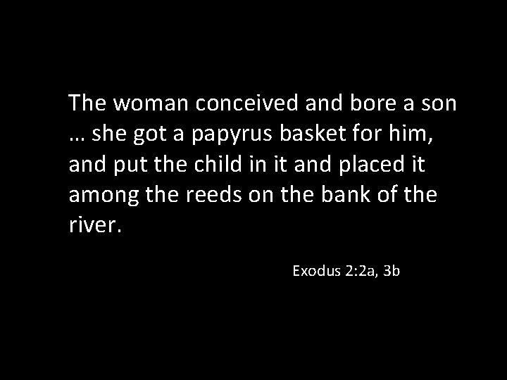 The woman conceived and bore a son … she got a papyrus basket for