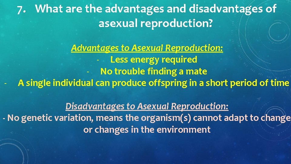 7. What are the advantages and disadvantages of asexual reproduction? Advantages to Asexual Reproduction: