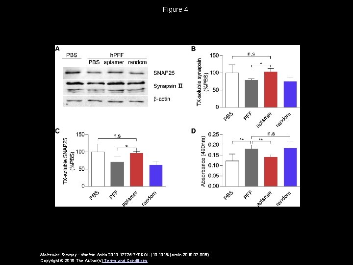 exosomal dna aptamer targeting synuclein aggregates reduced neuropathological