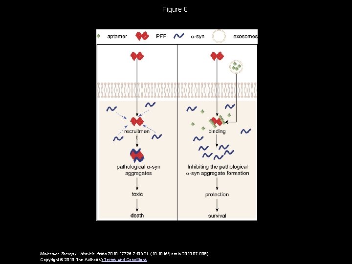 exosomal dna aptamer targeting synuclein aggregates reduced neuropathological