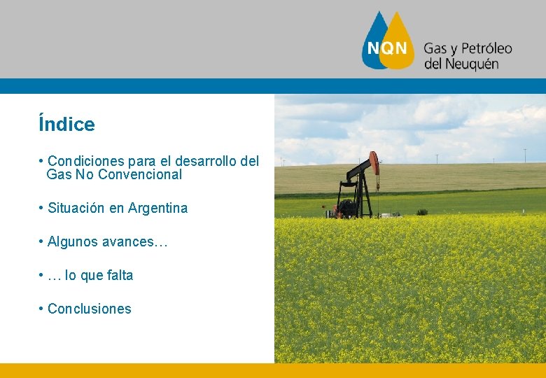 Índice • Condiciones para el desarrollo del Gas No Convencional • Situación en Argentina