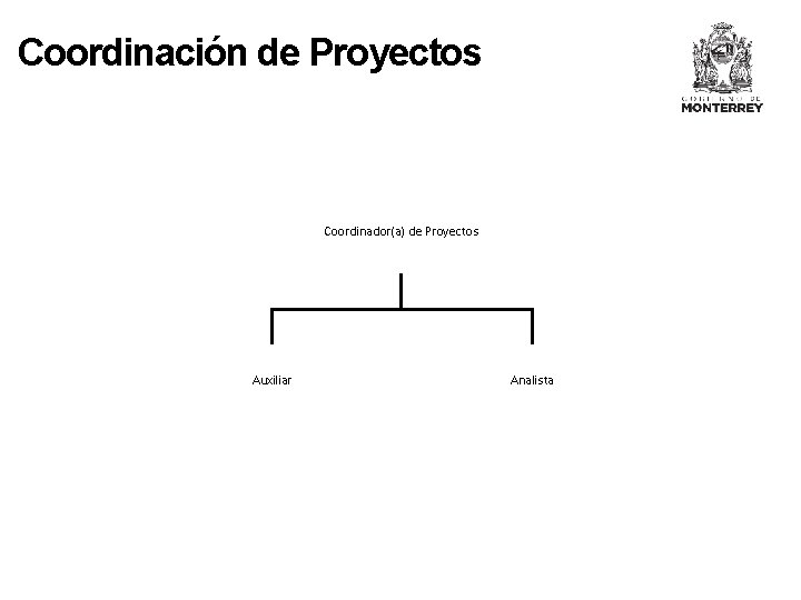 Coordinación de Proyectos Coordinador(a) de Proyectos Auxiliar Analista 