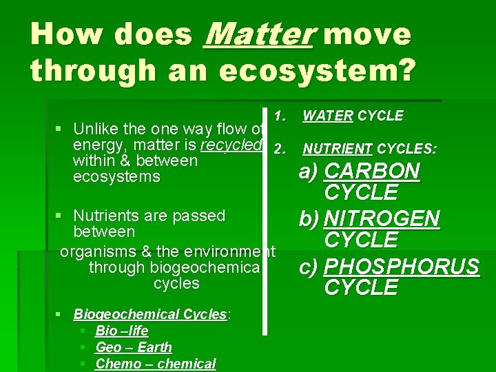 How does Matter move through an ecosystem? 1. WATER CYCLE § Unlike the one