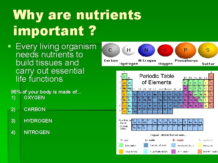 Why are nutrients important ? § Every living organism needs nutrients to build tissues