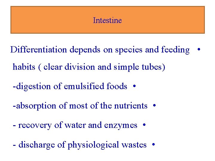 Intestine Differentiation depends on species and feeding • habits ( clear division and simple