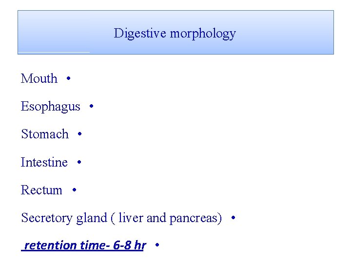 Digestive morphology Mouth • Esophagus • Stomach • Intestine • Rectum • Secretory gland