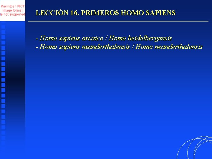 LECCIÓN 16. PRIMEROS HOMO SAPIENS - Homo sapiens arcaico / Homo heidelbergensis - Homo