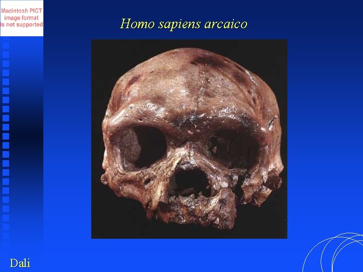 Homo sapiens arcaico Dali 