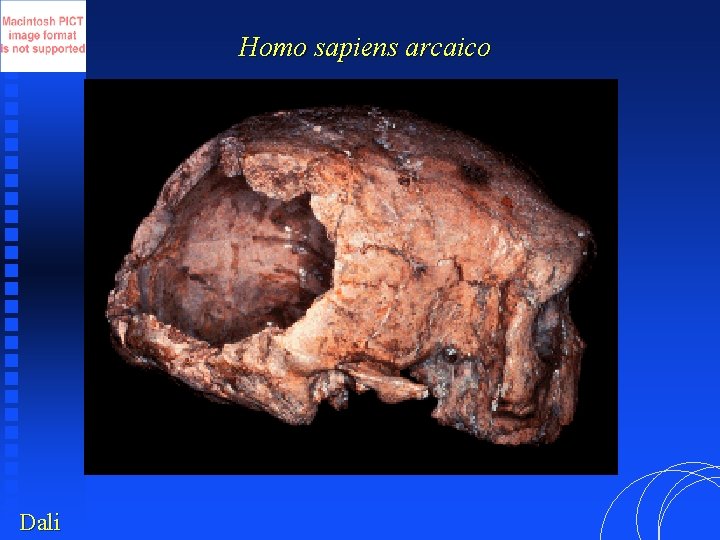 Homo sapiens arcaico Dali 