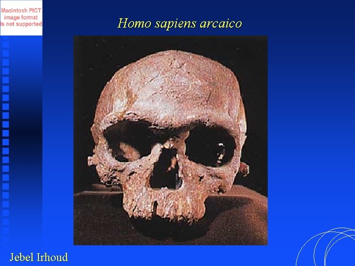 Homo sapiens arcaico Jebel Irhoud 