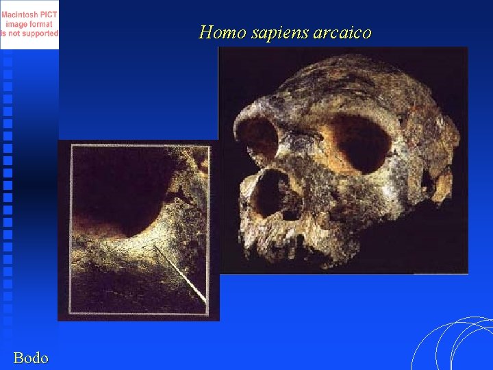 Homo sapiens arcaico Bodo 