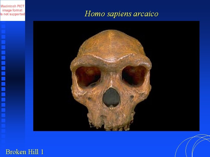 Homo sapiens arcaico Broken Hill 1 