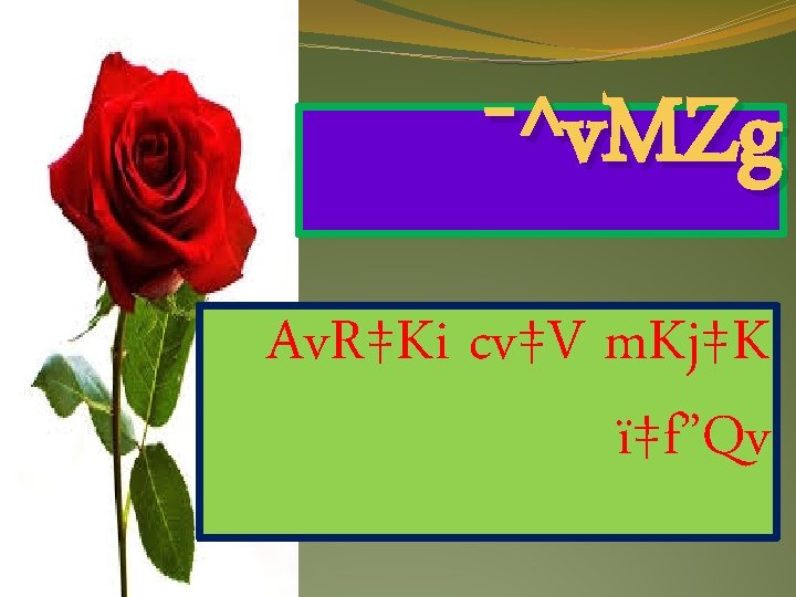 ¯^v. MZg Av. R‡Ki cv‡V m. Kj‡K ï‡f”Qv 