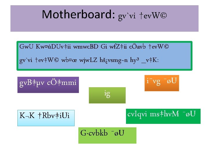 Motherboard: gv`vi †ev. W© Gw. U Kw¤úDUv‡ii wmwc. BD Gi wf. Z‡ii cÖavb †ev.