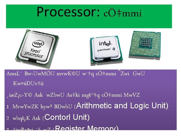 Processor: cÖ‡mmi Ams. L¨ Bw›Uw. MÖU mvw. K©U w`‡q cÖ‡mmi ˆZwi| Gw. U Kw¤úDUv‡ii