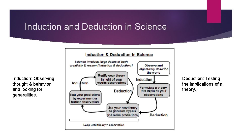 Induction and Deduction in Science Induction: Observing thought & behavior and looking for generalities.