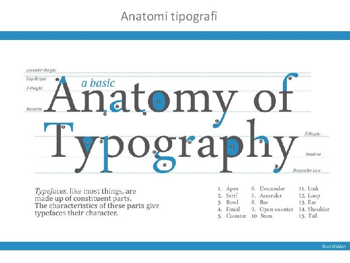 Anatomi tipografi Anatomi tipografi