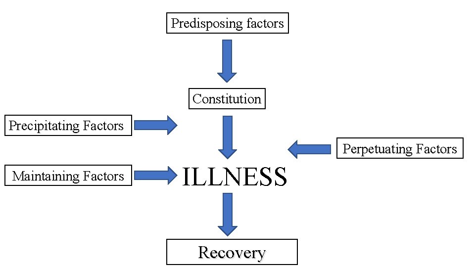 Predisposing factors Constitution Precipitating Factors Perpetuating Factors Maintaining Factors ILLNESS Recovery 