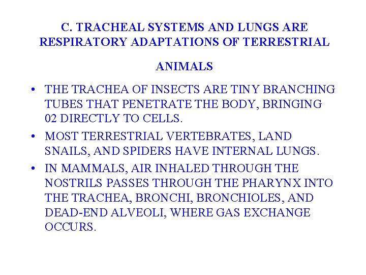 C. TRACHEAL SYSTEMS AND LUNGS ARE RESPIRATORY ADAPTATIONS OF TERRESTRIAL ANIMALS • THE TRACHEA