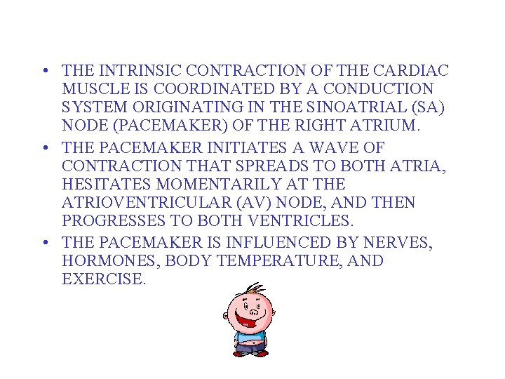  • THE INTRINSIC CONTRACTION OF THE CARDIAC MUSCLE IS COORDINATED BY A CONDUCTION