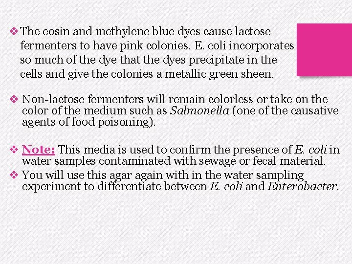 v. The eosin and methylene blue dyes cause lactose fermenters to have pink colonies.