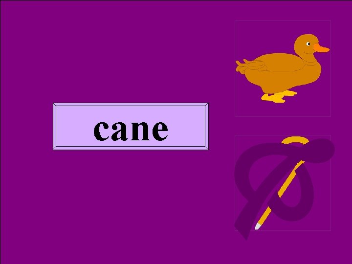 Homoph cane 2 cane 