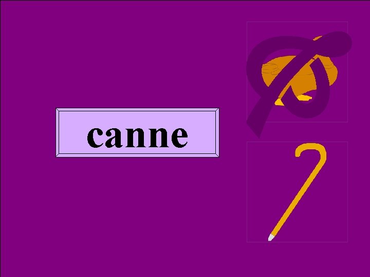  Homoph canne 2 canne 