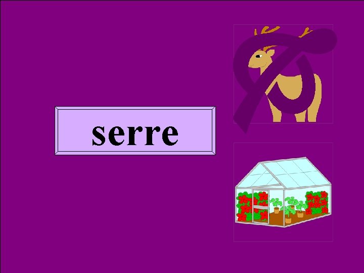  Homoph serre 2 serre 