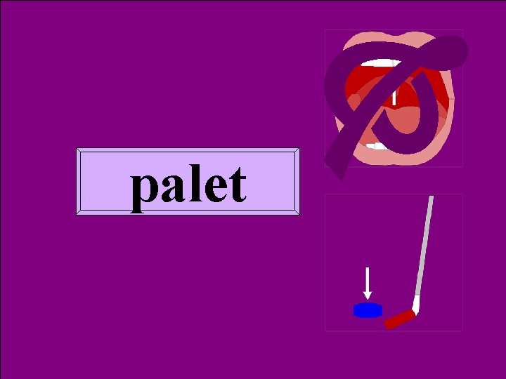  Homoph palet 2 palet 