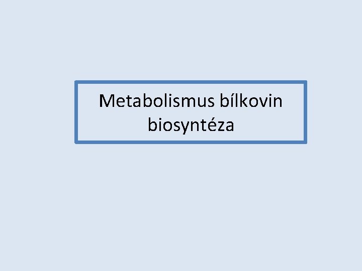 Metabolismus bílkovin biosyntéza 