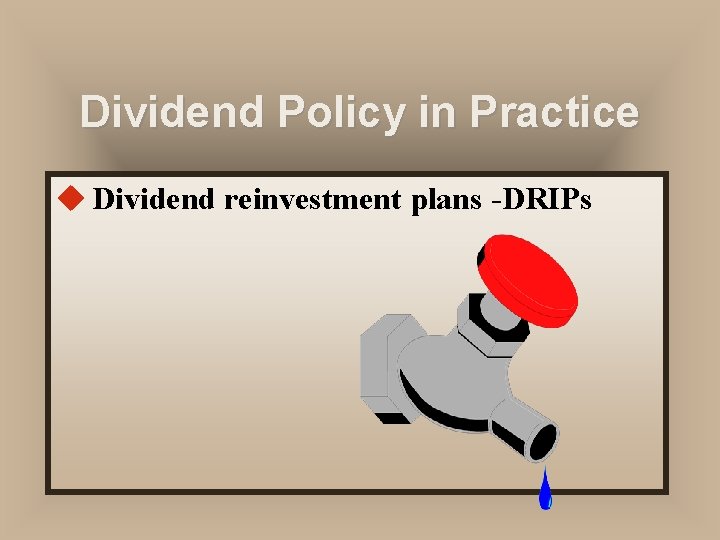 Dividend Policy in Practice u Dividend reinvestment plans -DRIPs 