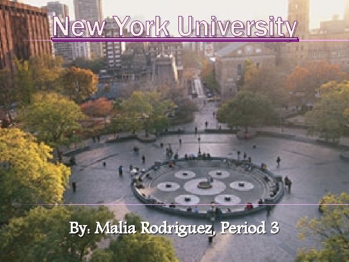 New York University By: Malia Rodriguez, Period 3 