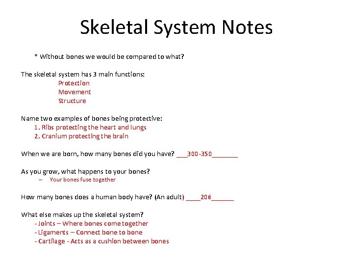 Skeletal System Notes * Without bones we would be compared to what? The skeletal